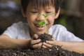 Selective focus of hands Asian child boy holding a little green plant with soil. Growing tree. Spring season. Save environment. Royalty Free Stock Photo