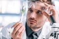 selective focus of handsome biochemist touching Royalty Free Stock Photo