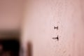 Selective focus on hole in a residential wall with two wires sticking out for surround sound speakers. Royalty Free Stock Photo