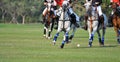 Horse polo players are competing in the polo field. Royalty Free Stock Photo