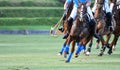 Selective focus the Horse polo players Royalty Free Stock Photo