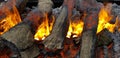 Selective focus of hot fire flames and pieces of coals burning on it Royalty Free Stock Photo