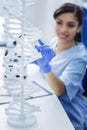 Selective focus of a human DNA model Royalty Free Stock Photo