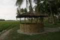 Selective focus of a hut surrounding by paddy field and coconut tree Royalty Free Stock Photo