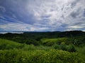 beautiful view of Piniapat Hill during sunny day at Pitas,Sabah,Malaysia. Royalty Free Stock Photo