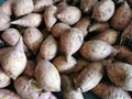 bunch of sweet potato at farmer market Kota Kinabalu,Sabah. Royalty Free Stock Photo