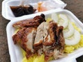 Delicious chicken rice in polystyrene packaging. Royalty Free Stock Photo