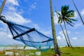 selective focus image of hammock under coconut tree near the beach with blue sky Royalty Free Stock Photo