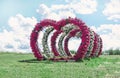 selective focus. Large decorative wedding arches made in form flowers