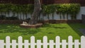 Selective focus at large tree trunk and row of green bush plant on artificial turf in front yard of home with blurred white wooden Royalty Free Stock Photo