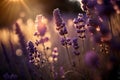 Selective focus on lavender flower in flower garden, lavender flowers lit by sunlight. Generative AI Royalty Free Stock Photo