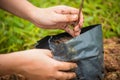 Selective focus on left hand planting seedling tree