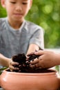 Young boy play with soil and seedling Royalty Free Stock Photo