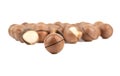 Selective focus on macadamia nut on white background. Royalty Free Stock Photo