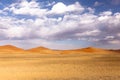Selective focus morning view of desert landscape with red dunes under soft white clouds in blue sky Royalty Free Stock Photo