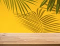 Selective focus.Nature product display with wood table counter on palm leaf in vibrant colo Royalty Free Stock Photo