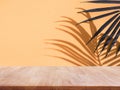 Selective focus.Nature product display with wood table counter on palm leaf in vibrant color background Royalty Free Stock Photo