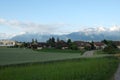 Steffisburg wheat plant landscape