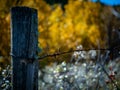 Selective focus of old and rustic barbed wire attached on a wooden post against a blurred background Royalty Free Stock Photo