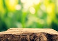 Selective focus of old tree stump table top on blur green of tree background Royalty Free Stock Photo