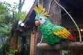 Selective Focus of Parrot statue