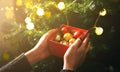 Selective focus photo. Girl is decorating christmas tree with lights. Present box with toys in woman`s hands. Love and holidays Royalty Free Stock Photo
