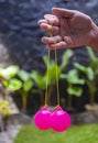 Selective focus photo of Lato-Lato, a traditional children`s toy which is currently going viral, especially in Indonesia.