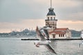Selective focus photo of maiden tower,