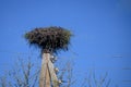 White stork nest on electrical pole Royalty Free Stock Photo
