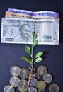 A Selective focus Picture of a Finance concept of grow your money, Indian Economy and GDP is grow Royalty Free Stock Photo