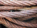 Selective focus of a pile of rusty wire slings