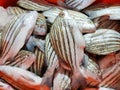 Selective focus of Pin fish in a fish market Royalty Free Stock Photo