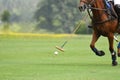 polo horse sport player hit a polo ball with a mallet in match.