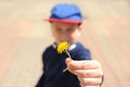 Selective focus, preschooler boy in a blue cap with a red peak gives a yellow single wildflower. The boy is blurred, the flower is