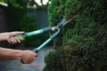 Pprofessional garden tools, pruning shears, pruners in hands of gardener landscaper cutting hedge in backyard or garden