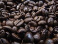 Selective focus of raosted grains brazilian coffee