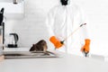 Selective focus of rat near sink Royalty Free Stock Photo