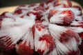 Red whole organic strawberry covered with white frosted snow