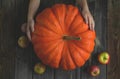 Selective focus. Ripe autumn pumpkin and apples on wooden table.Girl is holding large orange pumpkin. Autumn background. Harvest Royalty Free Stock Photo