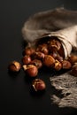 Selective focus on roasted chestnuts for christmas or holidays. Seasonal traditional dish in a paper bag, close-up Royalty Free Stock Photo