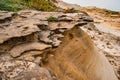 Selective focus on rock formation and typical cliff vegetation, Calada - Ericeira PORTUGAL