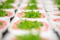 Selective focus of salad plates on a tabale Royalty Free Stock Photo