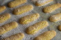 Selective focus on savoiardi biscuit, lady fingers