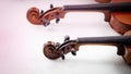 In selective focus of Scroll and Pegbox of violin Royalty Free Stock Photo