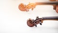 In selective focus of Scroll and Pegbox of violin Royalty Free Stock Photo