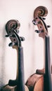 In selective focus of Scroll and Pegbox of violin,vintage and art tone Royalty Free Stock Photo