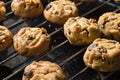 Selective focus with shallow depth of field on home made cookies Royalty Free Stock Photo