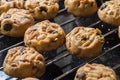 Selective focus with shallow depth of field on home made cookies Royalty Free Stock Photo