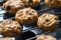 Selective focus with shallow depth of field on home made cookies Royalty Free Stock Photo