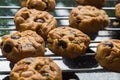 Selective focus with shallow depth of field on home made cookies Royalty Free Stock Photo